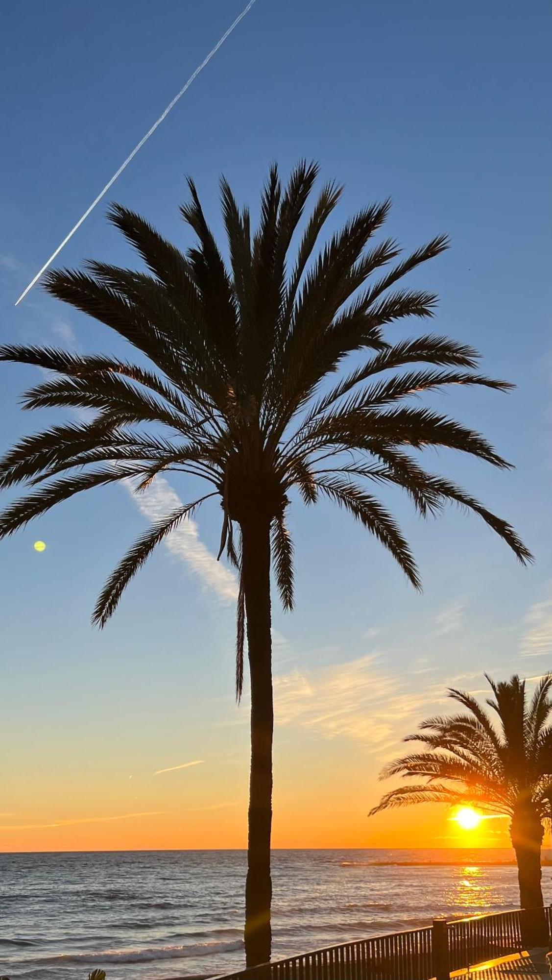 Apartamento Al Parque Marbella, Cerca De Mar Y Centro De Marbella Eksteriør billede