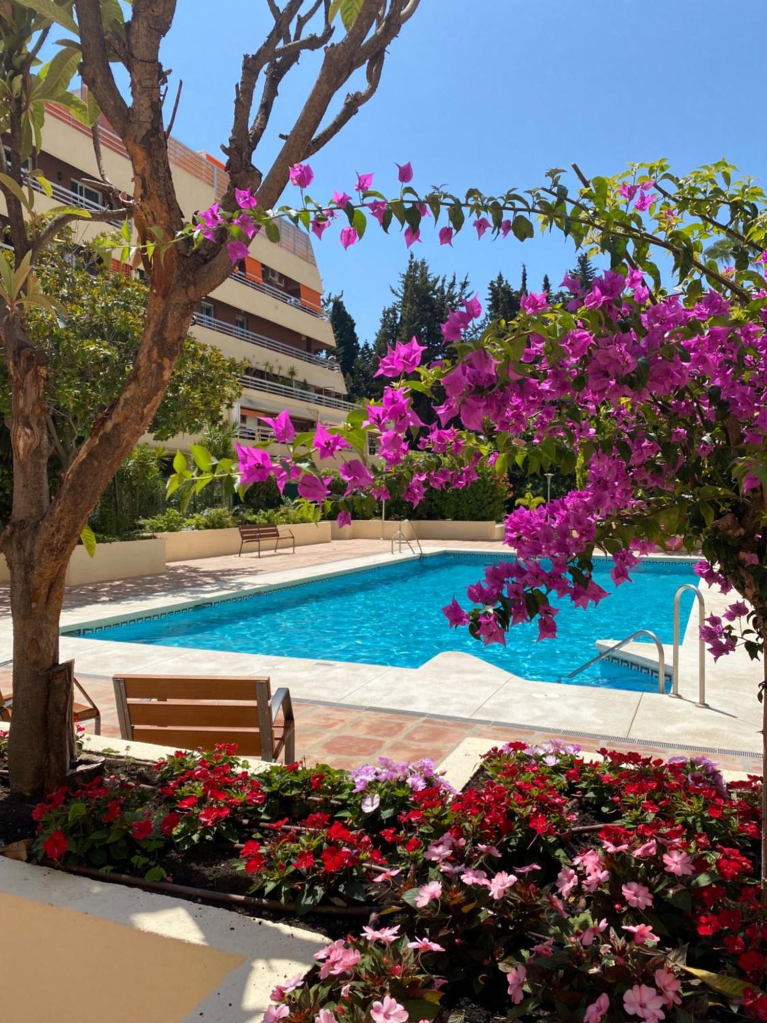 Apartamento Al Parque Marbella, Cerca De Mar Y Centro De Marbella Eksteriør billede